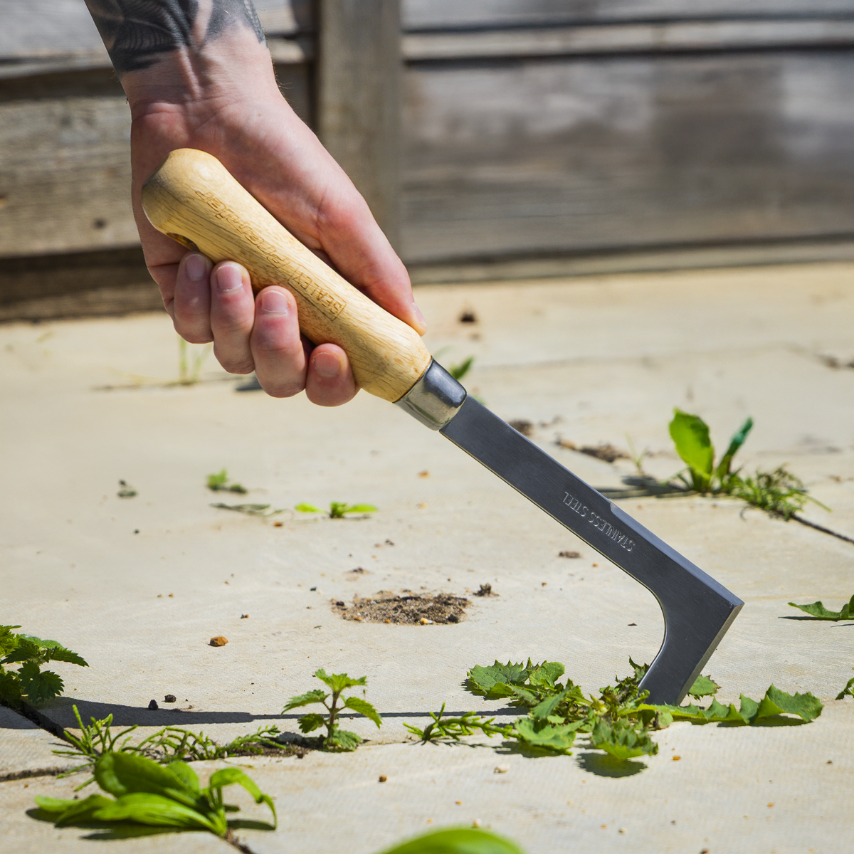 Premier GTWH009 Premier Weeding Knife with Ash Handle & Stainless Steel Blade