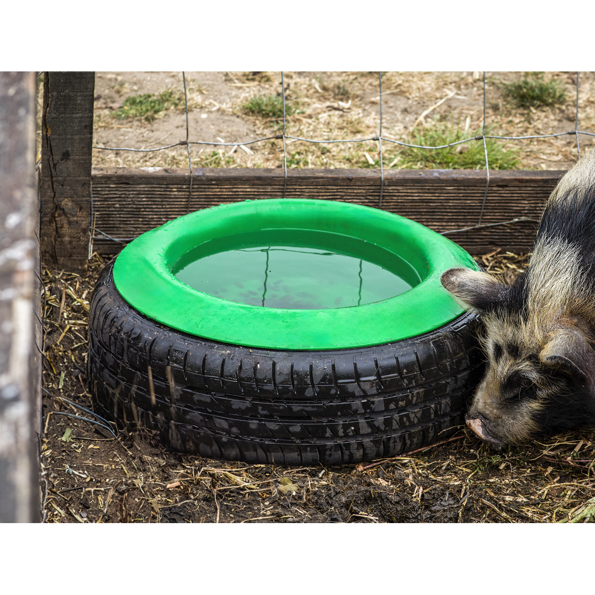 Sealey AFT07 Tyre Feed Bowl 15L
