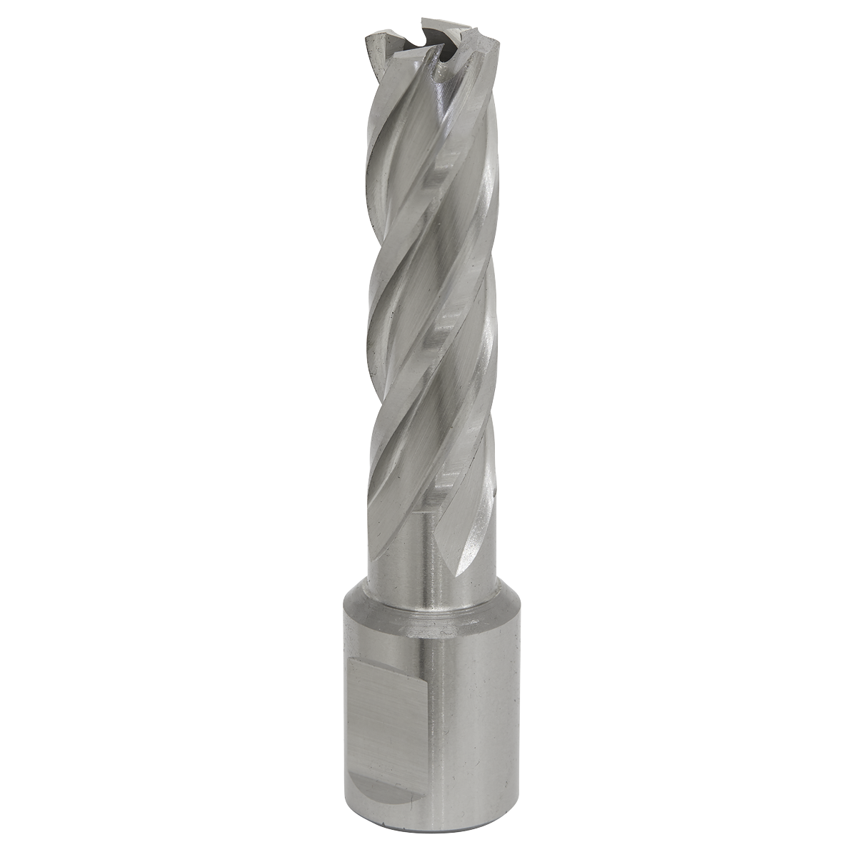 Worksafe RBHSS14L Worksafe® 14mm HSS Mag Drill Bit Cut Depth 50mm