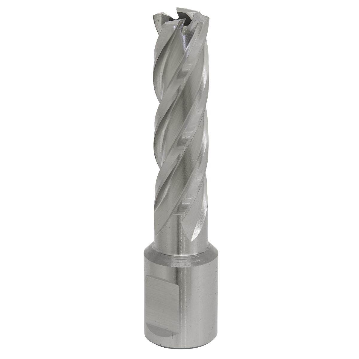 Worksafe RBHSS15L Worksafe® 15mm HSS Mag Drill Bit Cut Depth 50mm