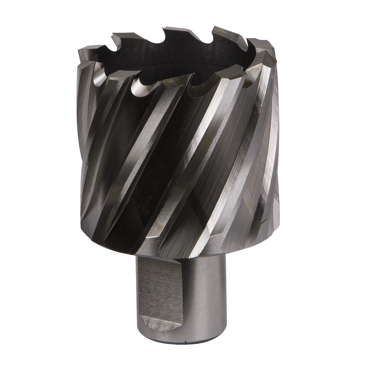 Worksafe RBHSS42S Worksafe® 42mm HSS Mag Drill Bit Cut Depth 25mm