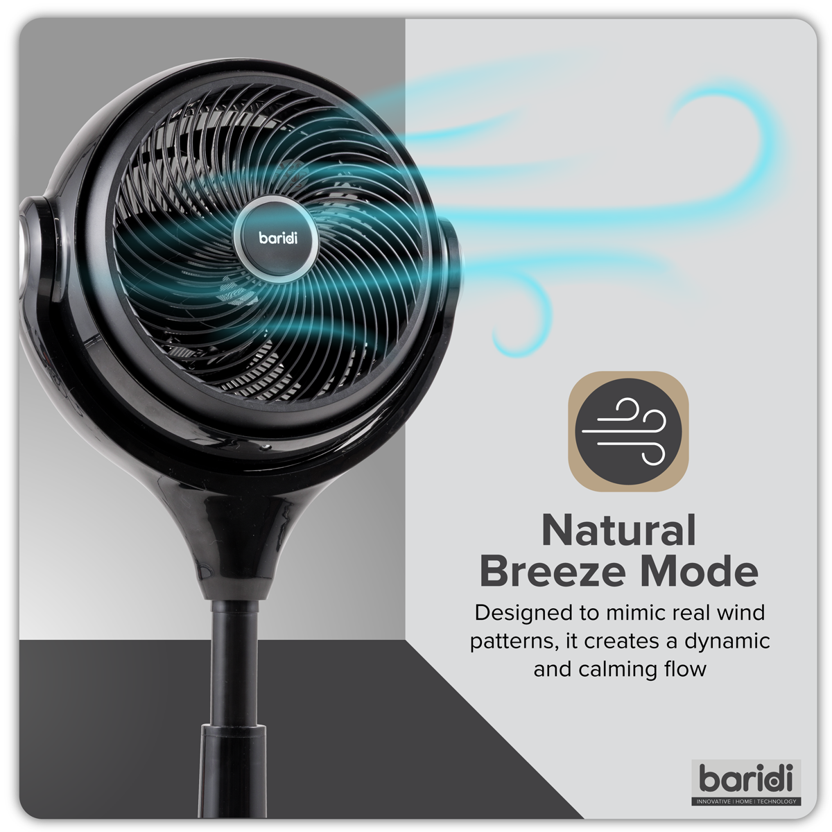 Baridi DH143 Baridi 10" Pedestal Fan with Remote Control & 12hr Timer 230V - Black