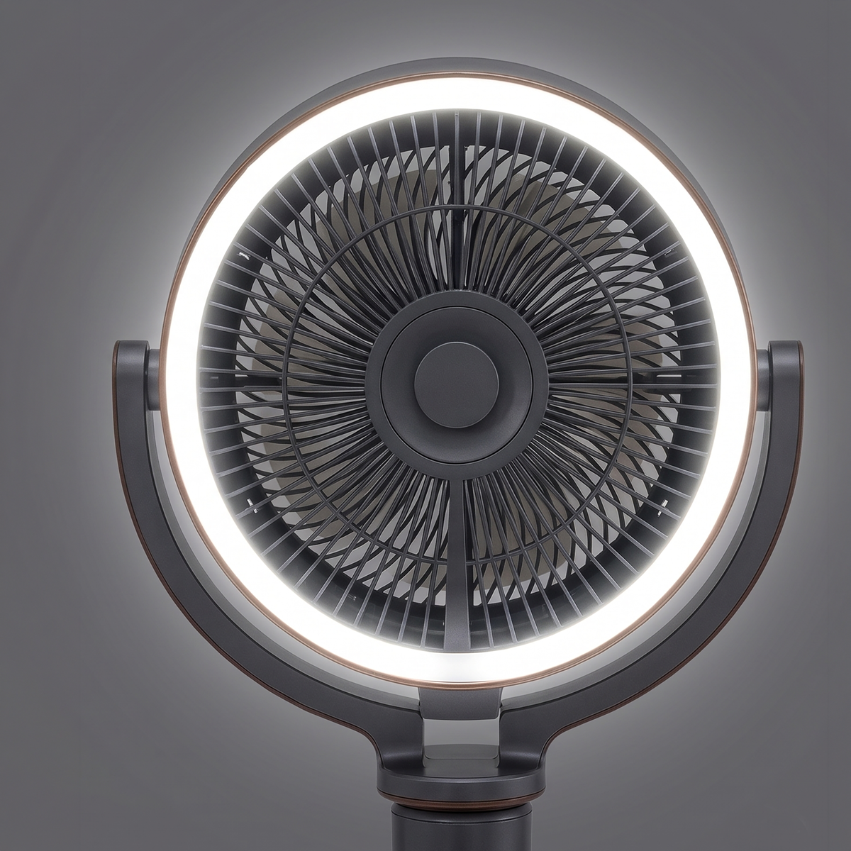 Baridi DH264 Baridi 12" Pedestal Fan with Remote Control, Back Light & 12hr Timer - Grey