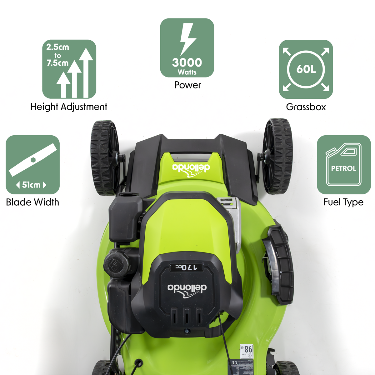 Dellonda DG102 Dellonda Self-Propelled Petrol Lawnmower Grass Cutter with Height Adjustment & Grass Bag 170cc 20"/51cm 4-Stroke Engine