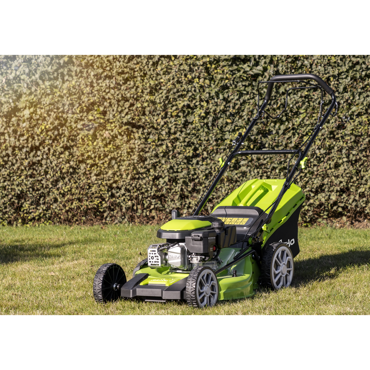 Dellonda DG102 Dellonda Self-Propelled Petrol Lawnmower Grass Cutter with Height Adjustment & Grass Bag 170cc 20"/51cm 4-Stroke Engine