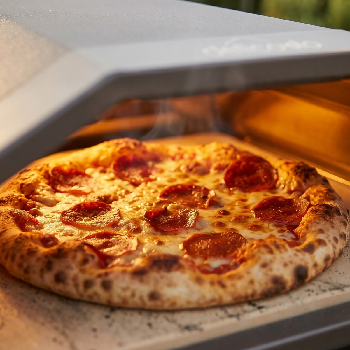 Dellonda DG262 Dellonda Gas Pizza Oven with Water-Resistant Cover/Carry Bag, 12" Pizza Peel & Plancha Trolley