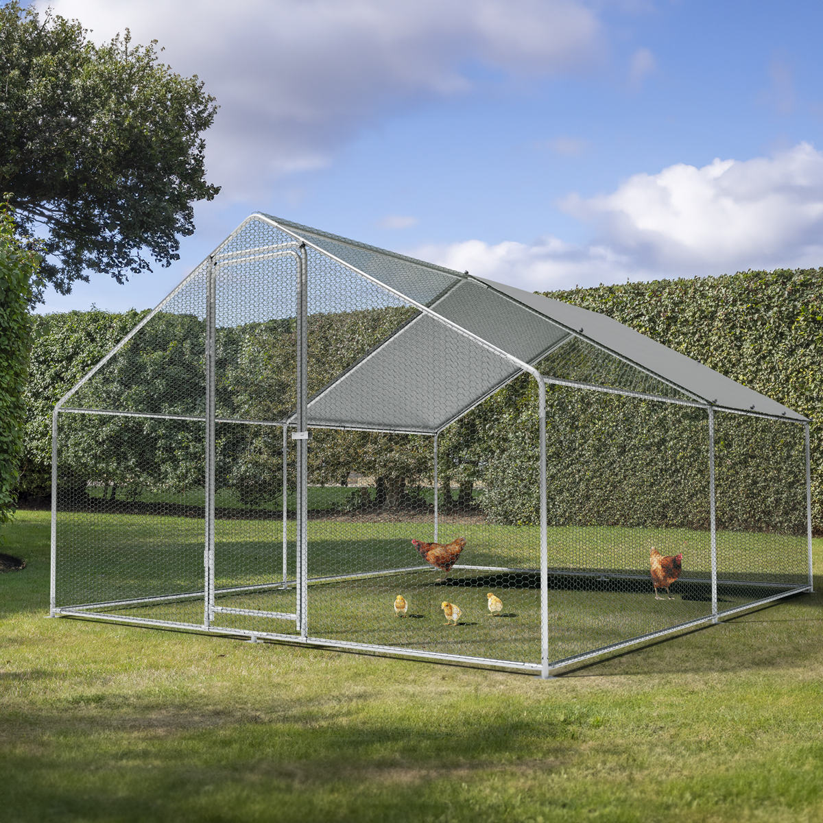 Dellonda DG279 Dellonda Walk-In Galvanized Steel Chicken Run with Roof Cover & PVC Coated Chicken Wire