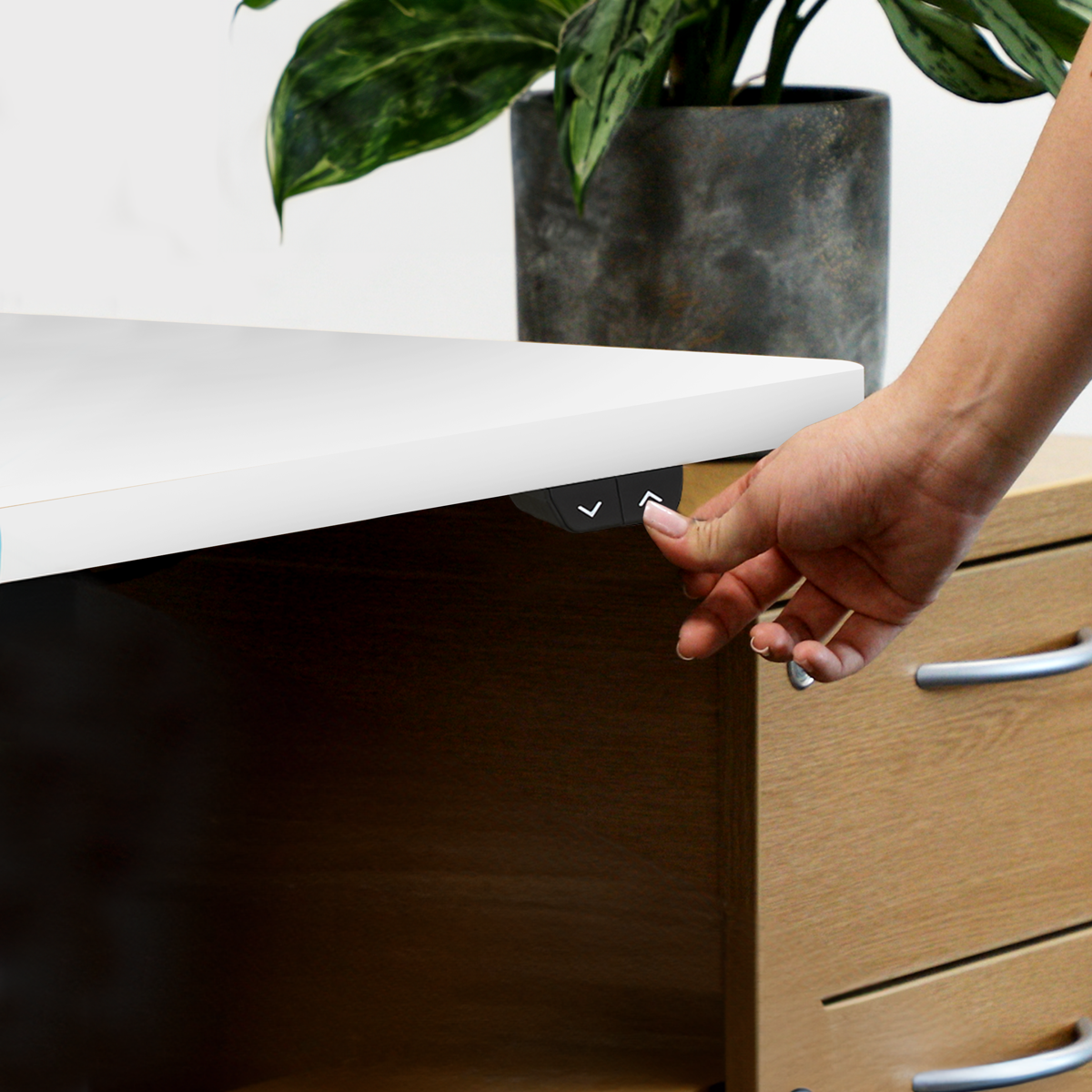 Dellonda DH36 Dellonda Single Motor Ultra-Quiet Adjustable-Height Electric Sit/Stand Desk - White Desktop