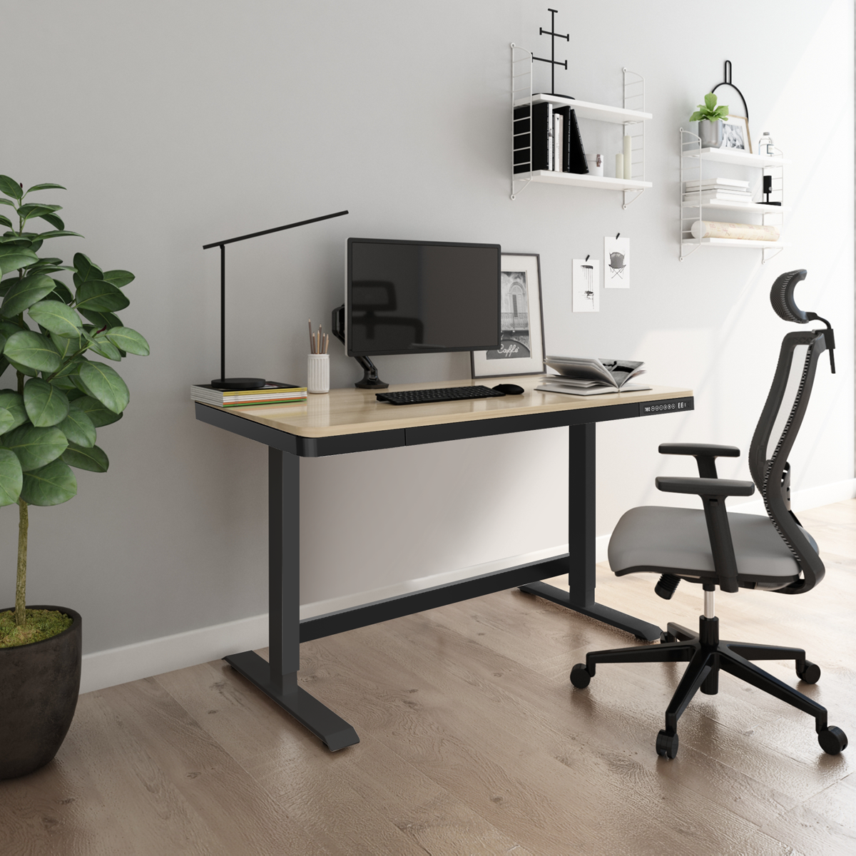 Dellonda DH65 Dellonda Single Motor Ultra-Quiet Electric Desk with Control Panel, USB Port & Drawer - Oak Desktop