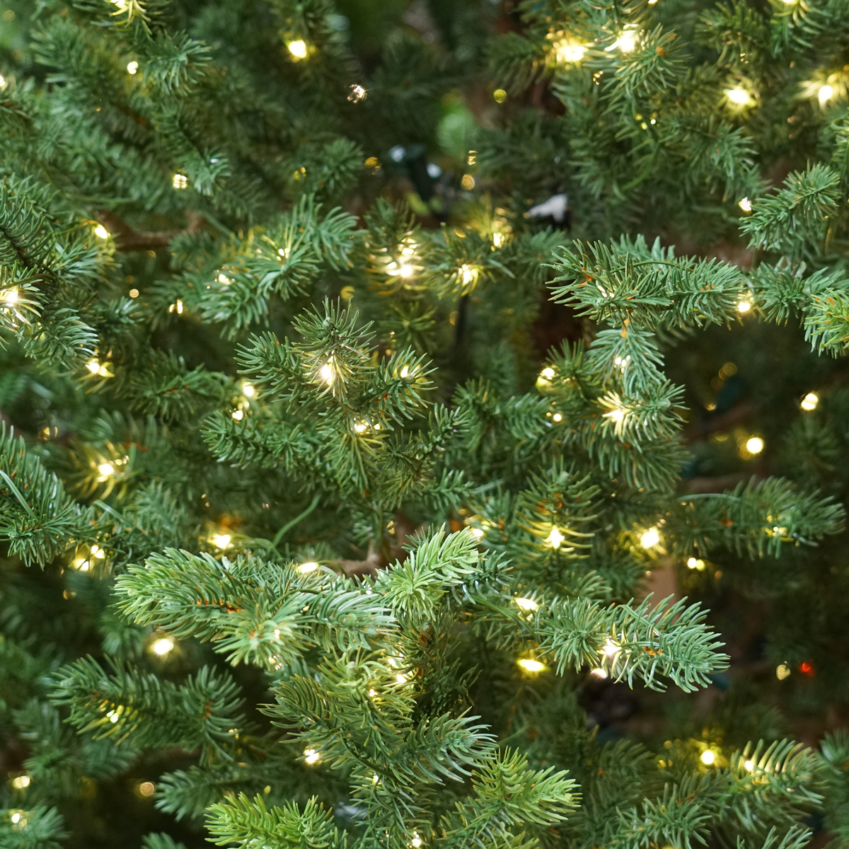 Dellonda DH80 Dellonda Pre-Lit Hinged Christmas Tree with 190 Warm White LED Lights 5ft(150cm)