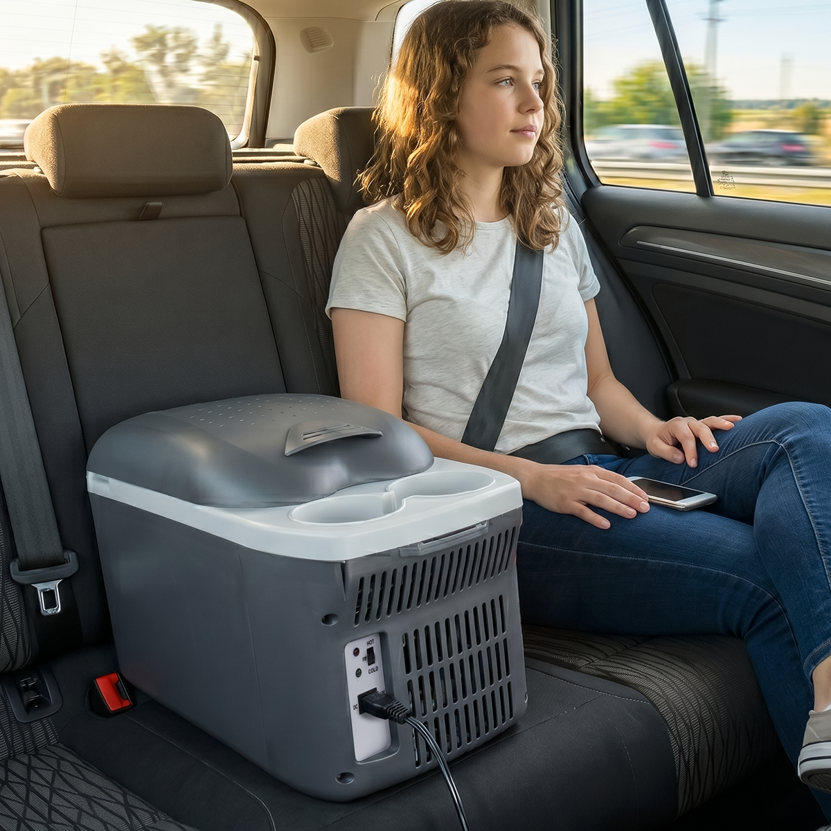 Dellonda DL166 Dellonda 8L Portable Cool Box 12V