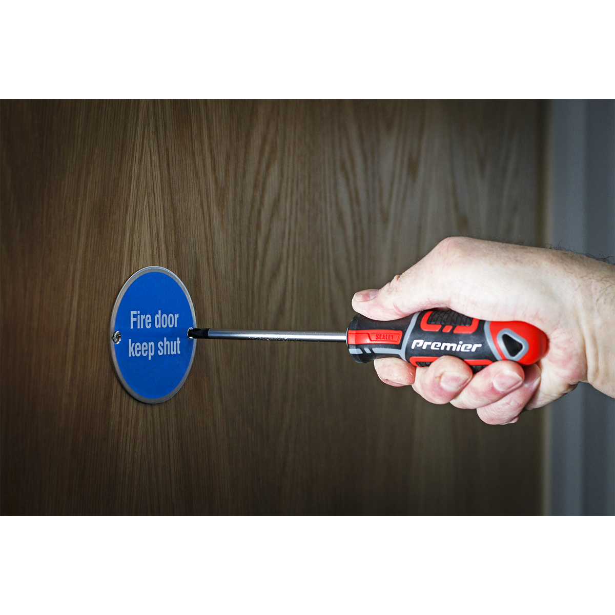 Premier AK4361 Premier GripMAX® Phillips Screwdriver #2 x 100mm