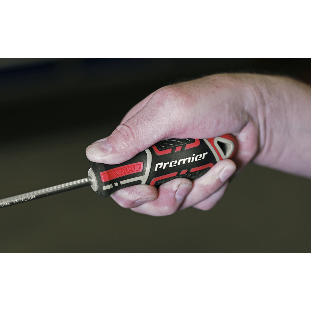 Premier AK4361 Premier GripMAX® Phillips Screwdriver #2 x 100mm