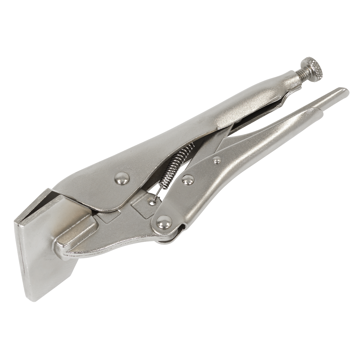 Premier AK6829 Premier Sheet Metal Clamp 200mm