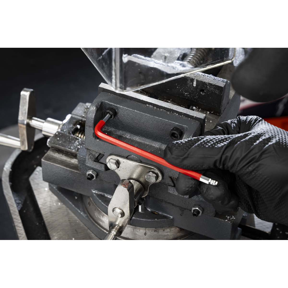 Premier AK7176 Long Anti-Slip TRX-Star* & Ball-End Hex Key Set 18pc