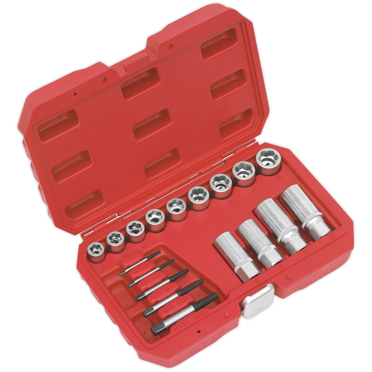 Premier AK751 Premier Bolt, Stud & Screw Extractor Set 18pc
