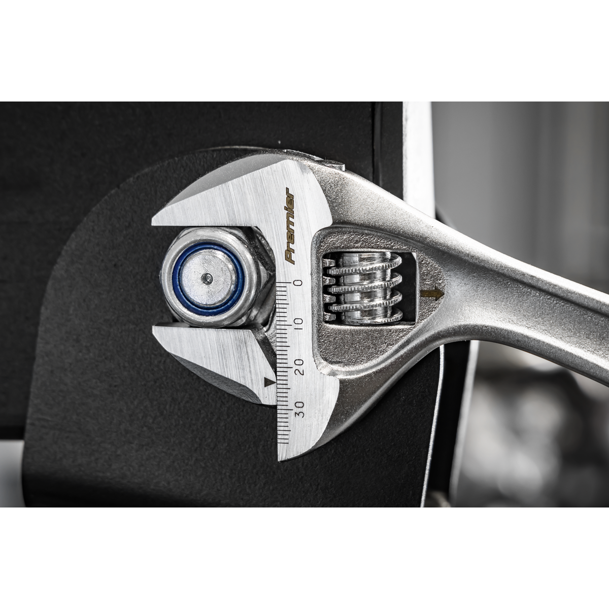Premier AK9571 Premier Quick-Action Adjustable Wrench 250mm