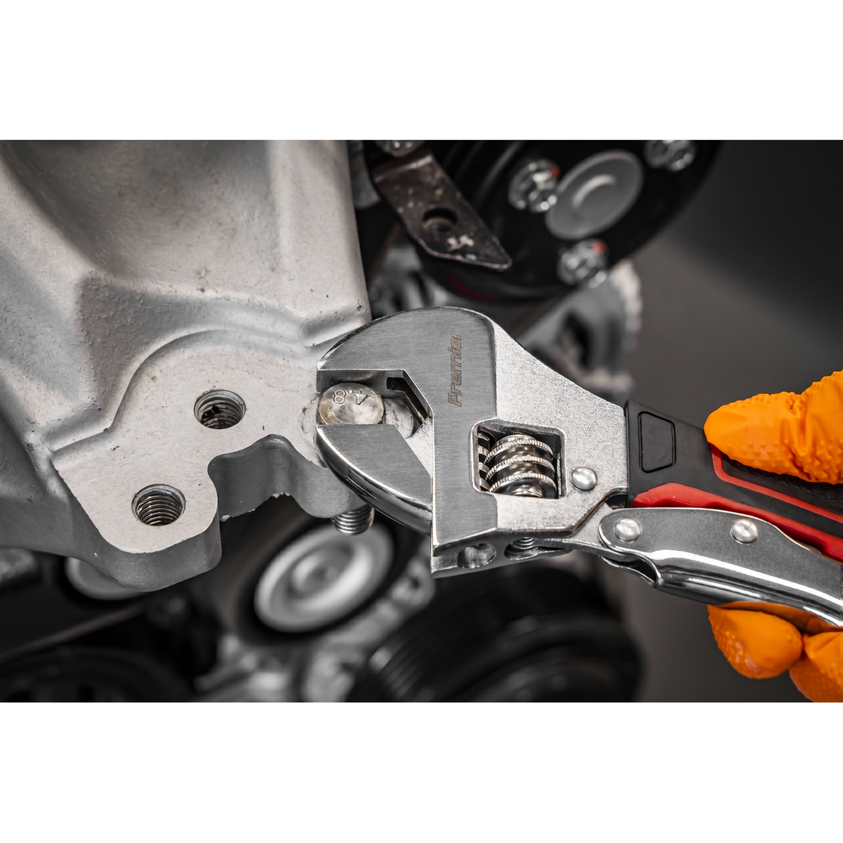Premier AK9572 Premier Locking Adjustable Wrench 250mm