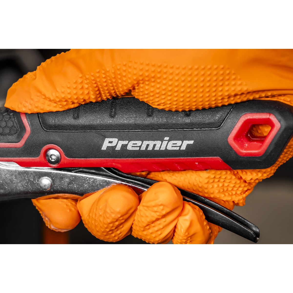 Premier AK9572 Premier Locking Adjustable Wrench 250mm