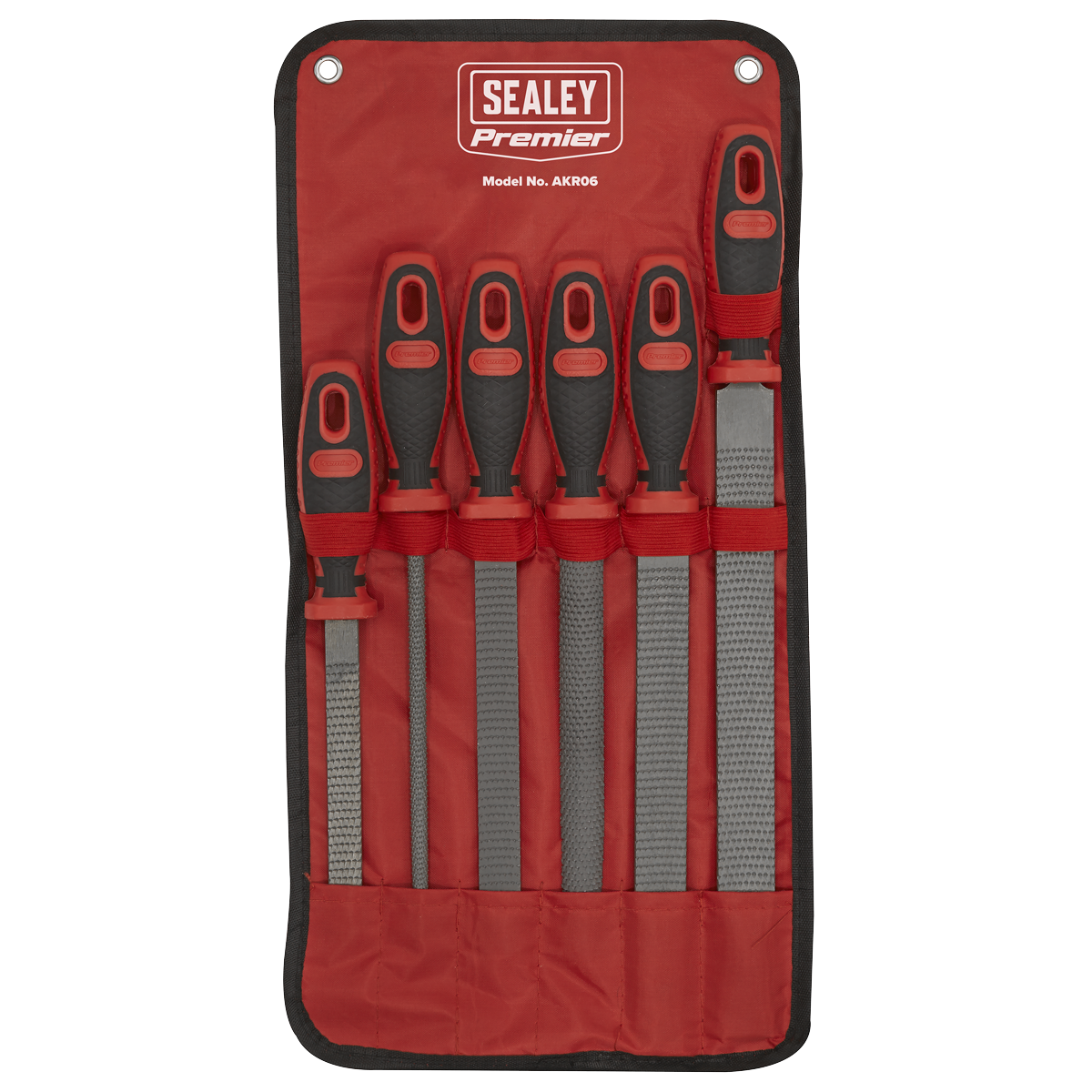 Premier AKR06 Premier Rasp File Set 6pc