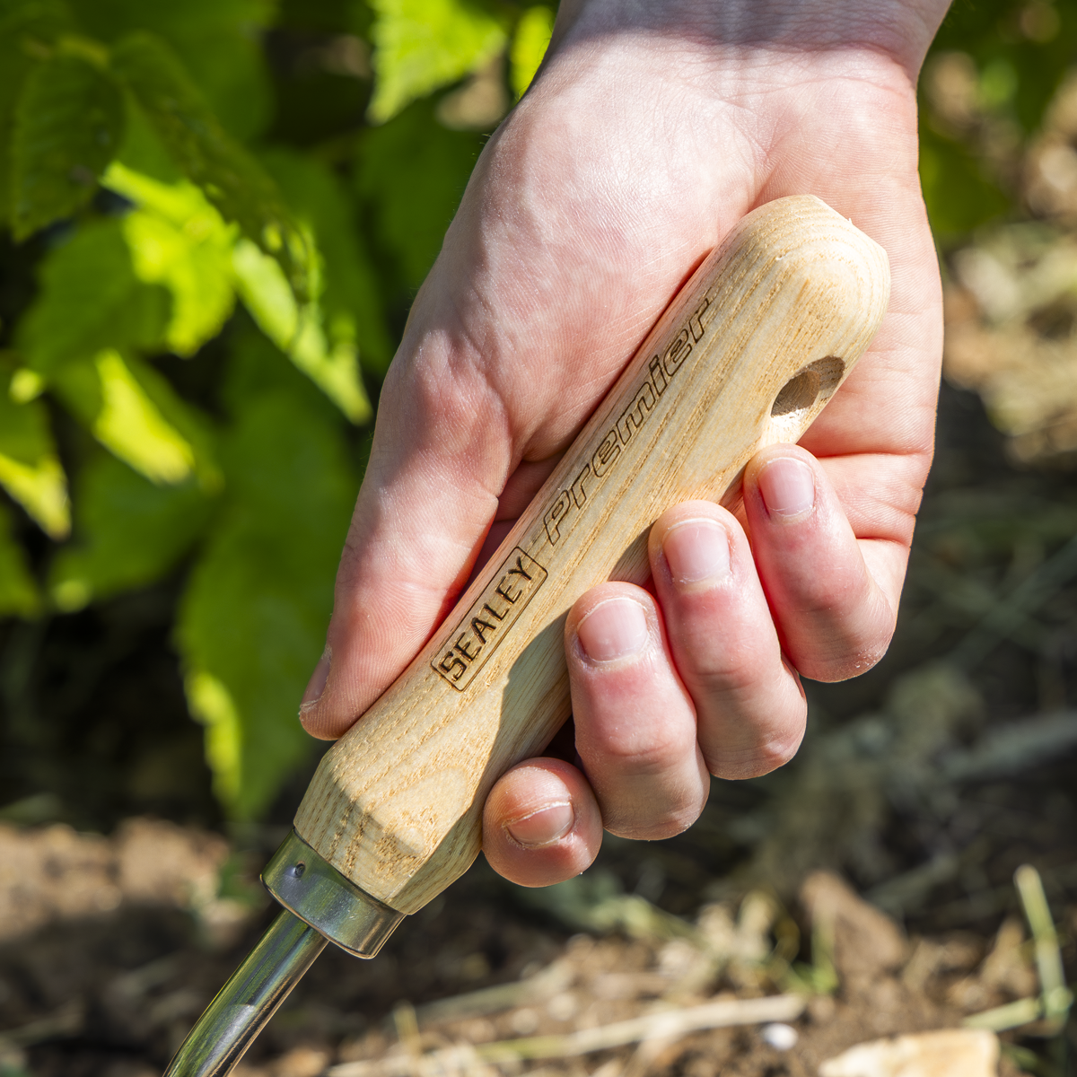 Premier GTWH003 Premier Hand Trowel Hand Trowel with Ash Handle & Stainless Steel Blade