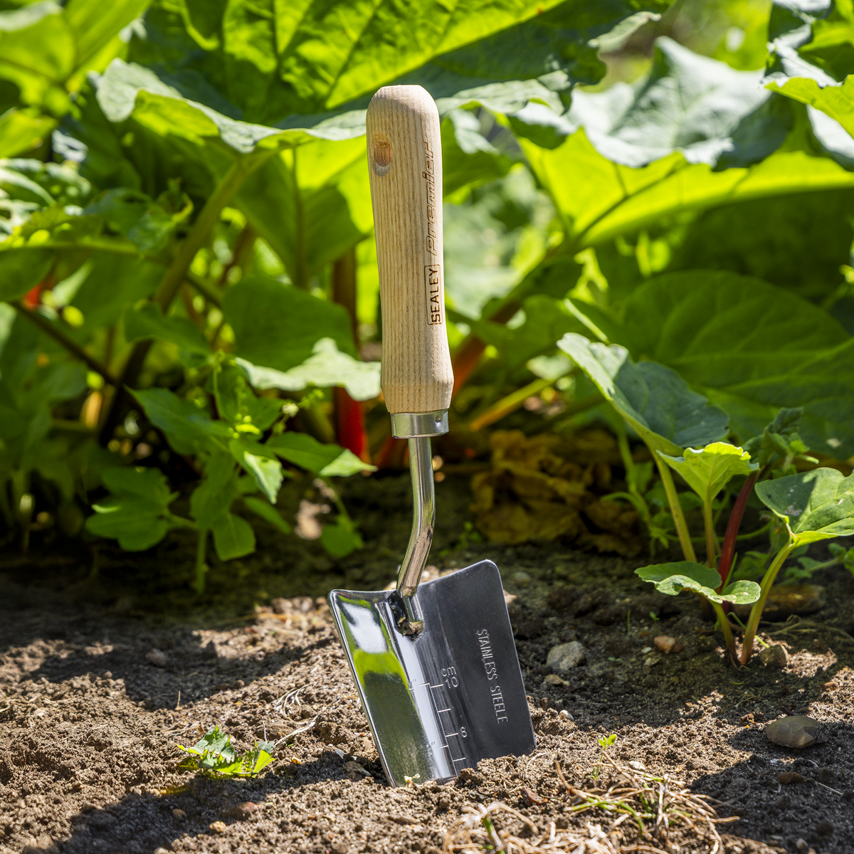 Premier GTWH003 Premier Hand Trowel Hand Trowel with Ash Handle & Stainless Steel Blade