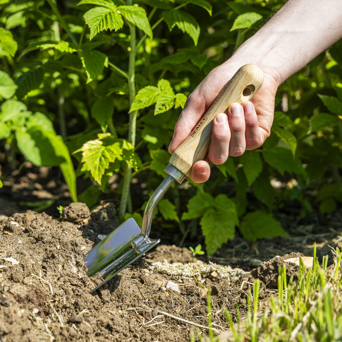 Premier GTWH003 Premier Hand Trowel Hand Trowel with Ash Handle & Stainless Steel Blade