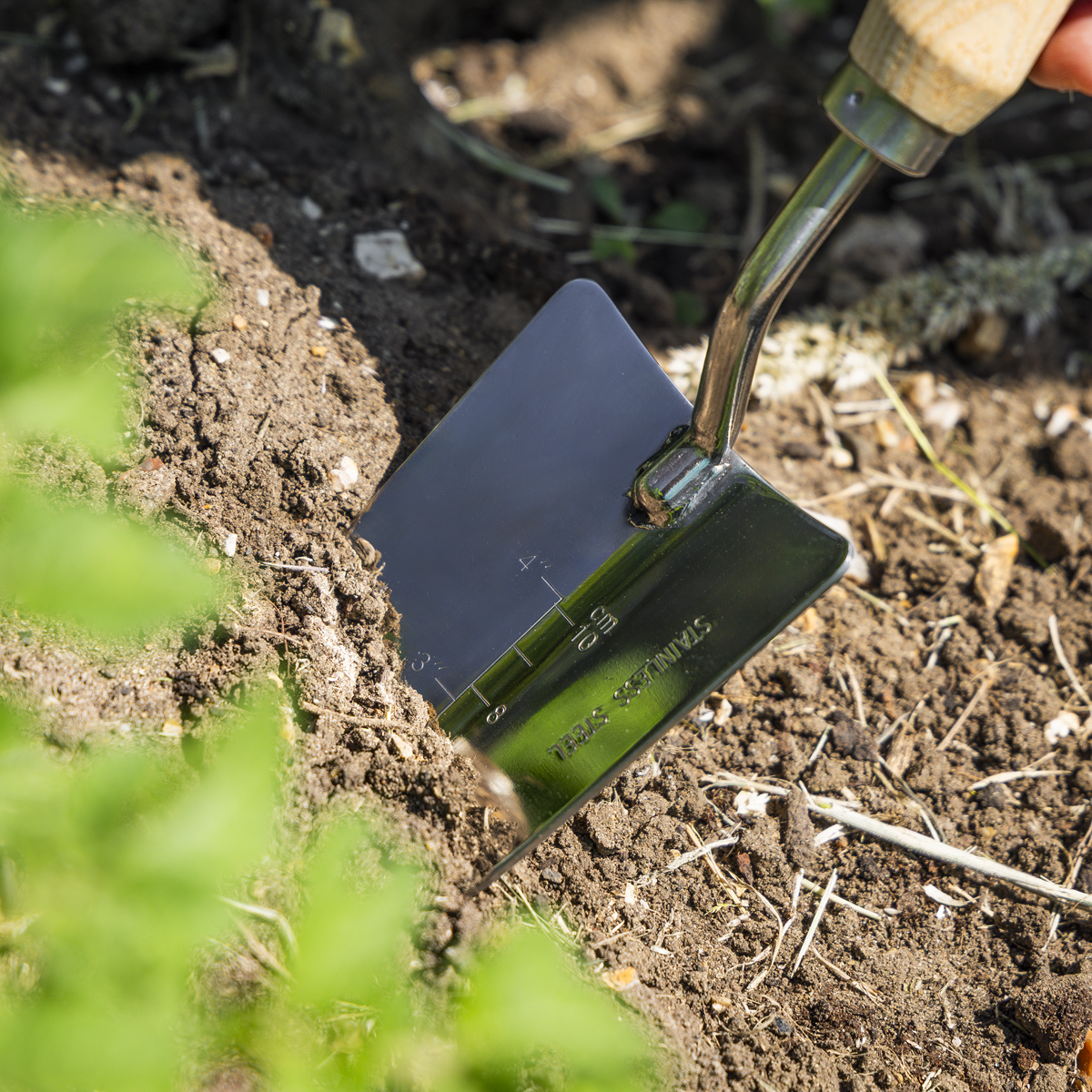 Premier GTWH003 Premier Hand Trowel Hand Trowel with Ash Handle & Stainless Steel Blade