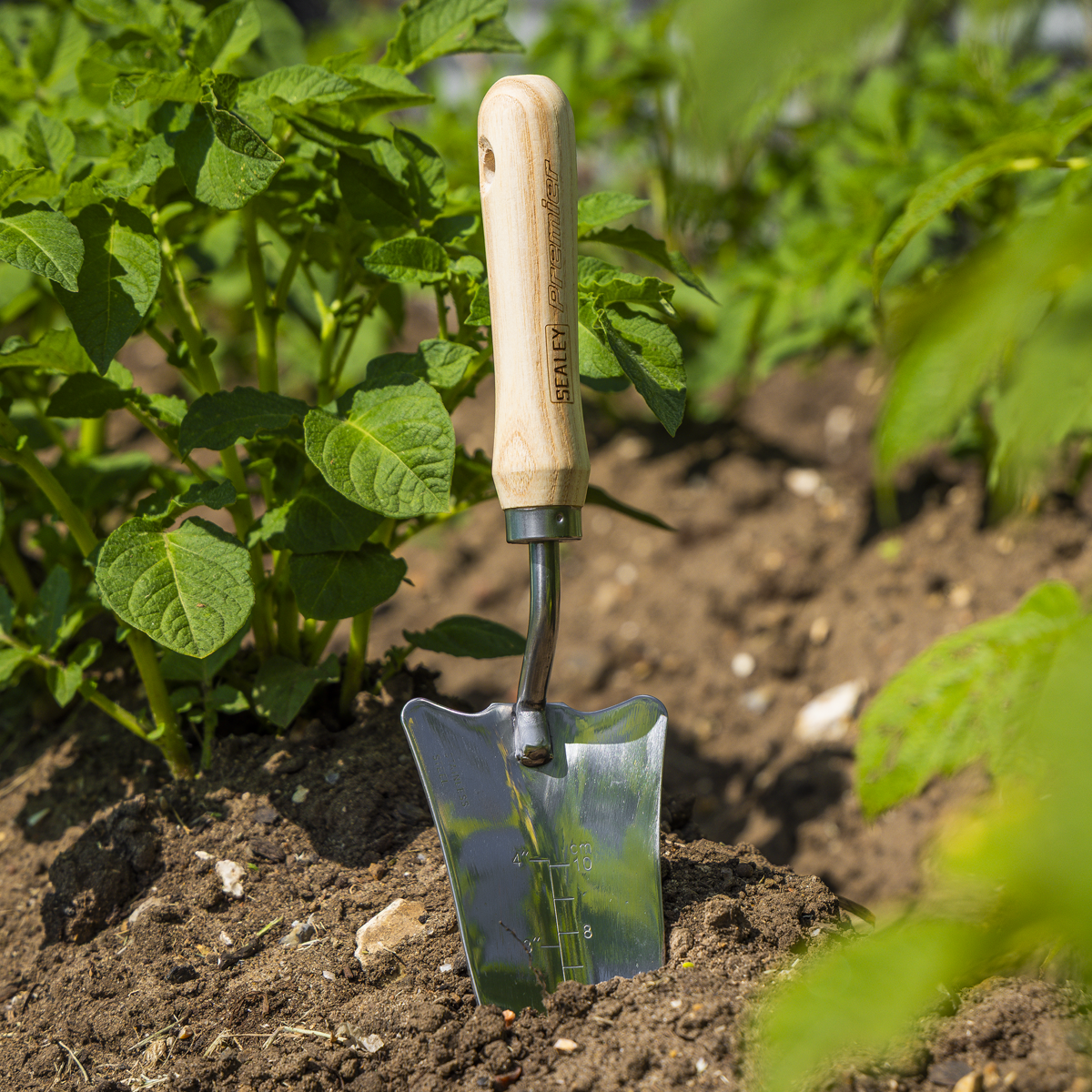 Premier GTWH004 Premier Slim Head Trowel with Ash Handle & Stainless Steel Blade