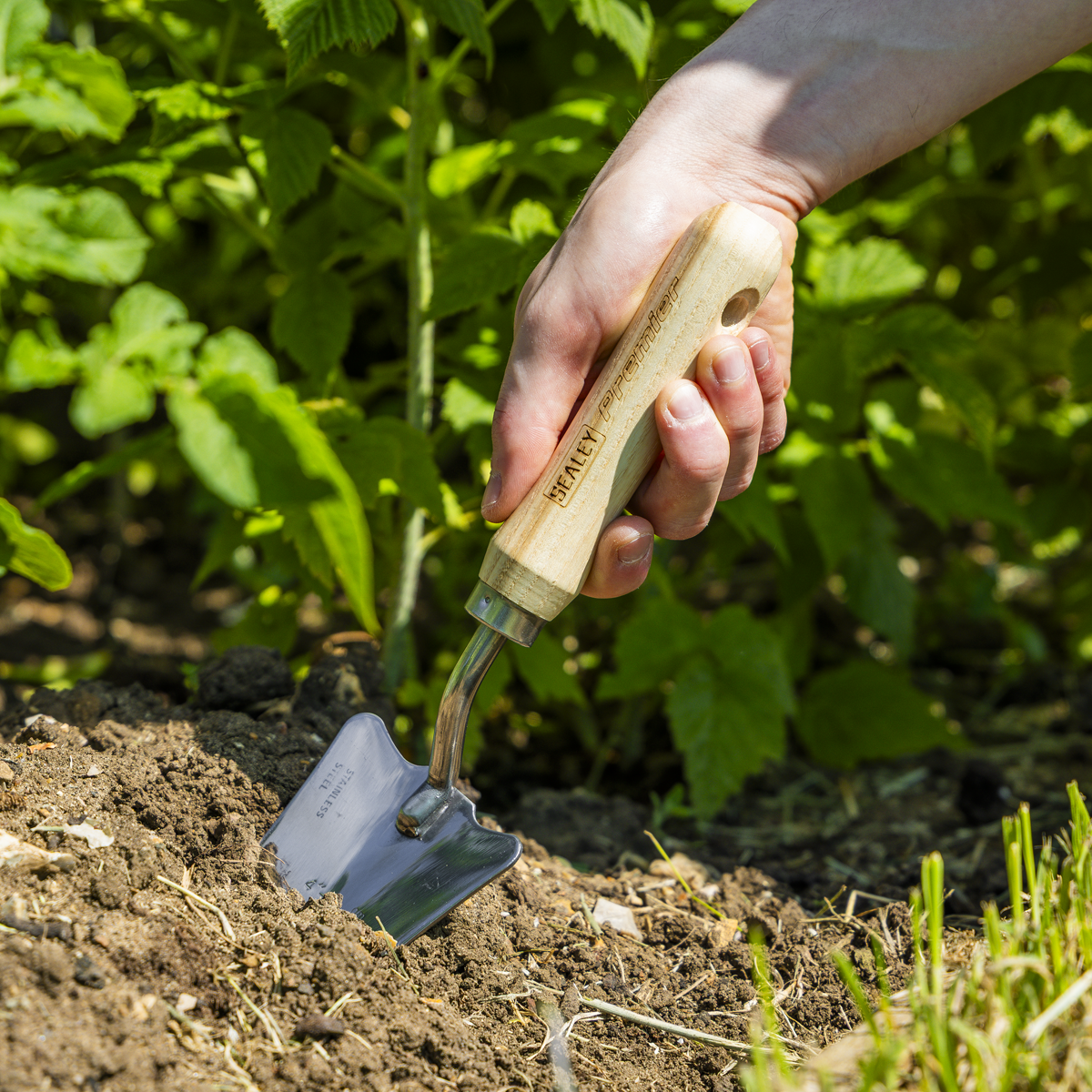 Premier GTWH004 Premier Slim Head Trowel with Ash Handle & Stainless Steel Blade