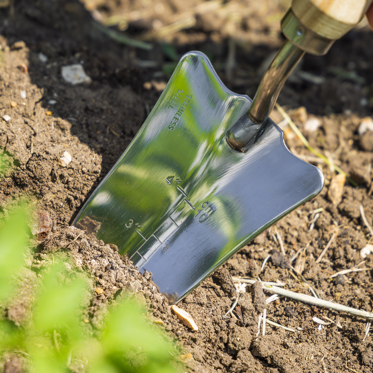 Premier GTWH004 Premier Slim Head Trowel with Ash Handle & Stainless Steel Blade