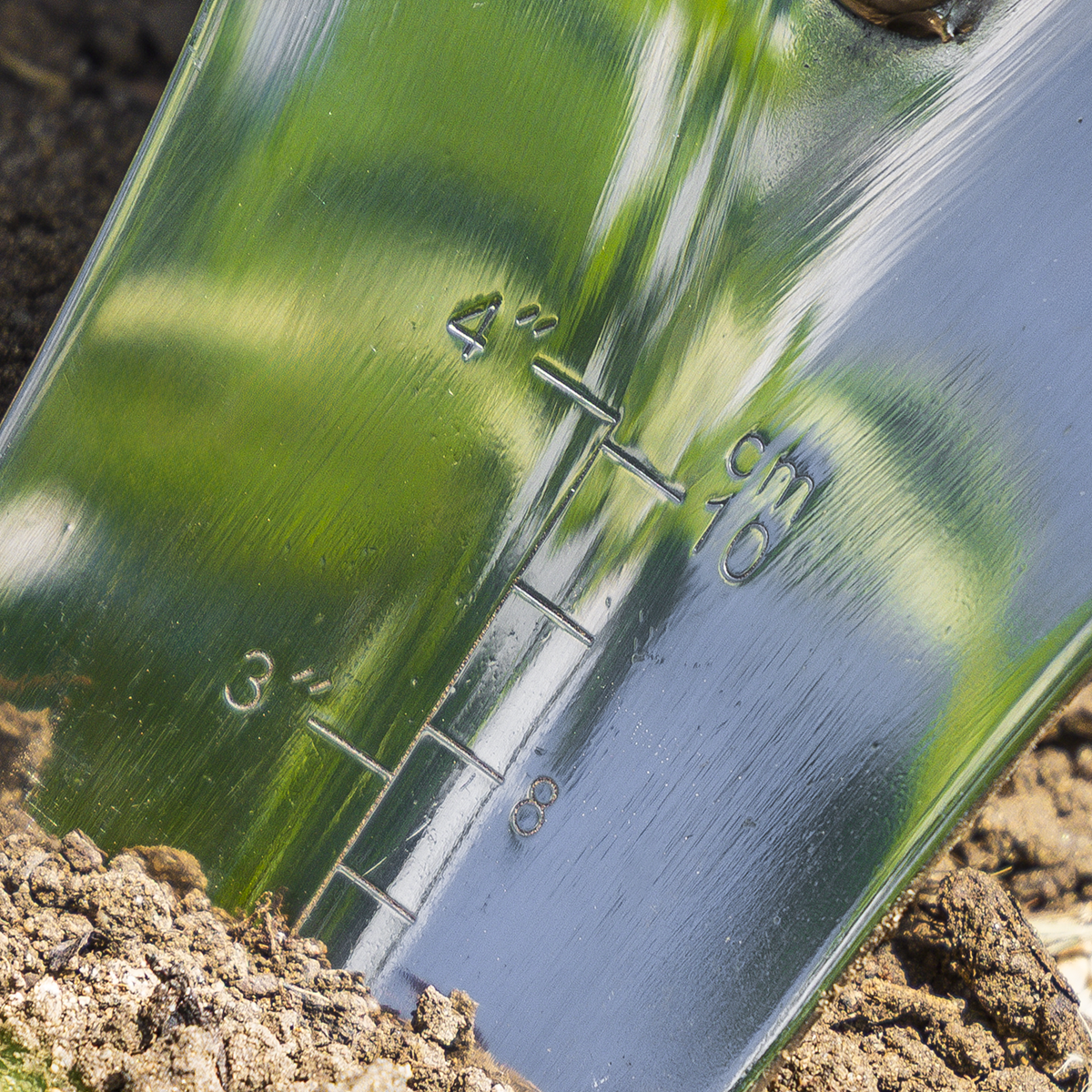 Premier GTWH004 Premier Slim Head Trowel with Ash Handle & Stainless Steel Blade