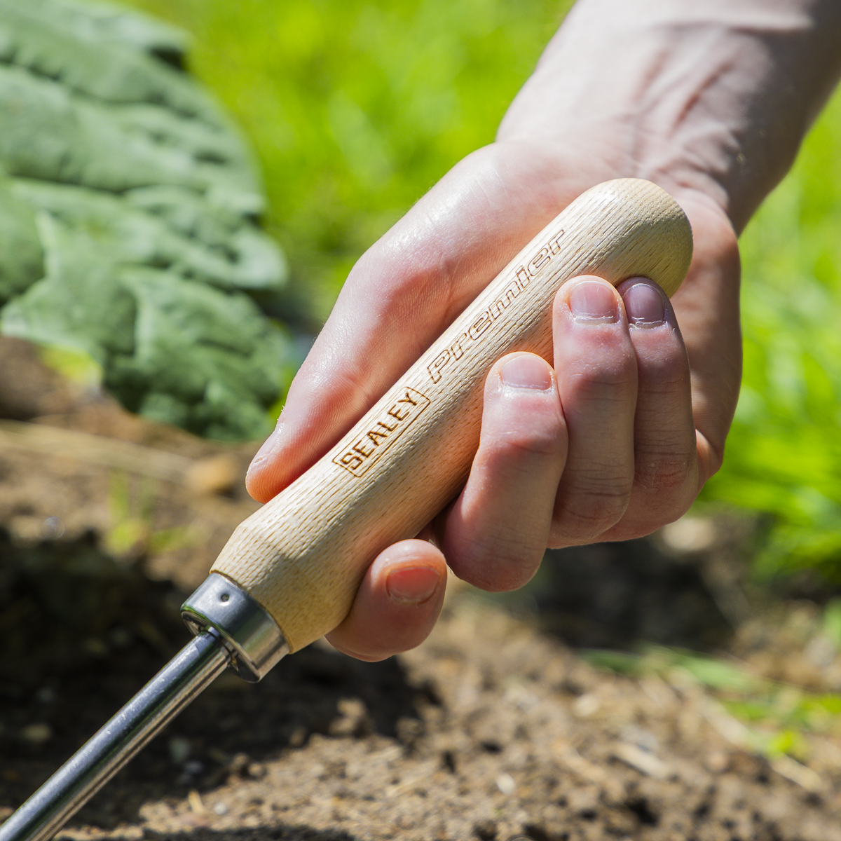 Premier GTWH005 Premier Cultivator with Short Ash Handle & Stainless Steel Tines