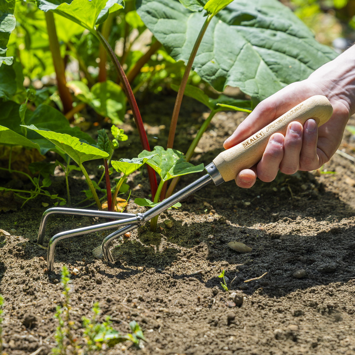 Premier GTWH005 Premier Cultivator with Short Ash Handle & Stainless Steel Tines