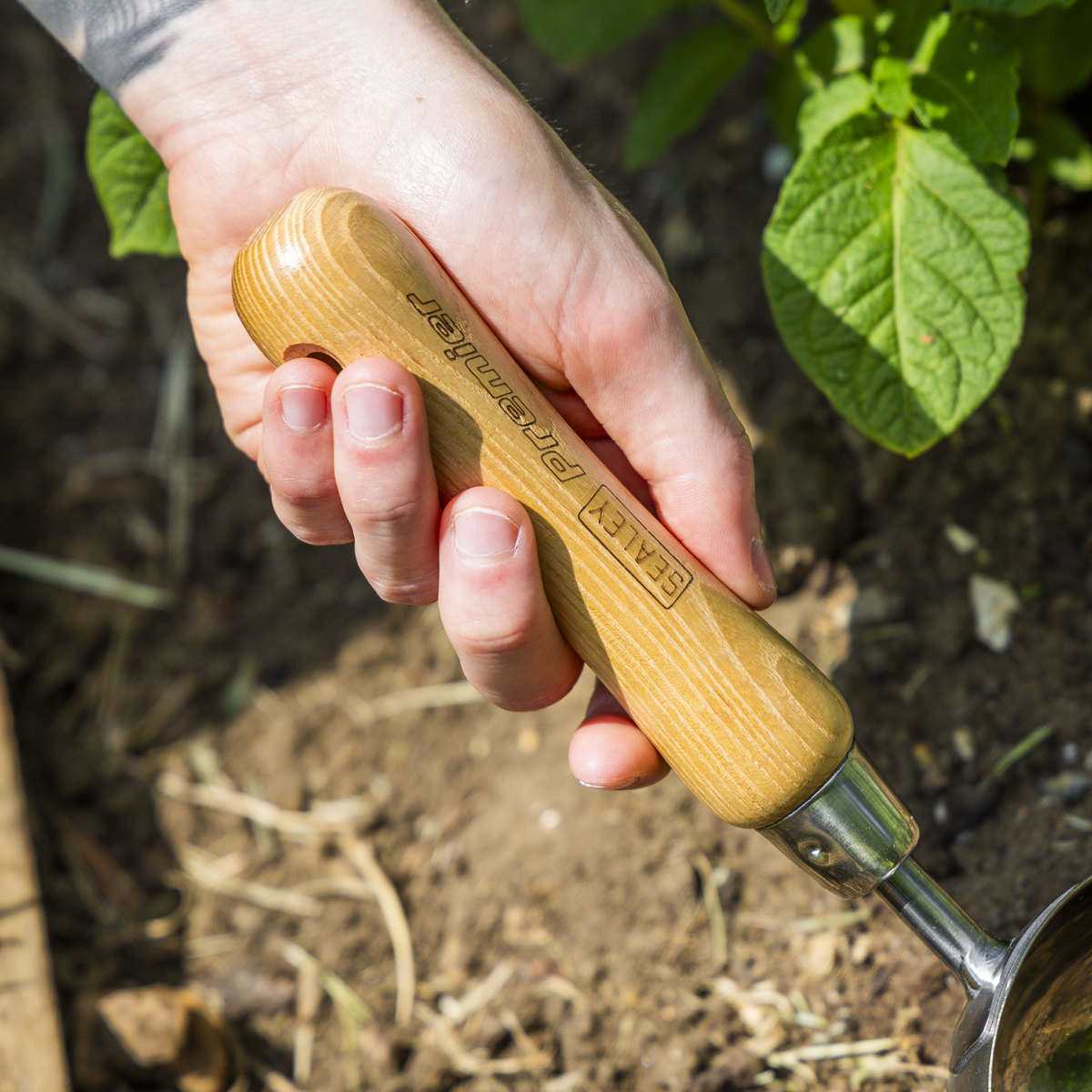 Premier GTWH006 Premier Garden Scoop with Ash Handle & Stainless Steel Head