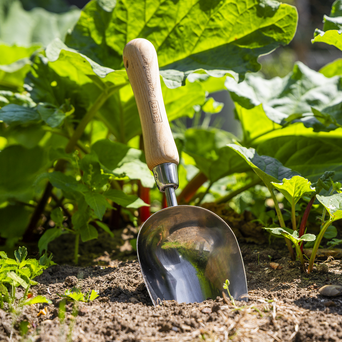 Premier GTWH006 Premier Garden Scoop with Ash Handle & Stainless Steel Head