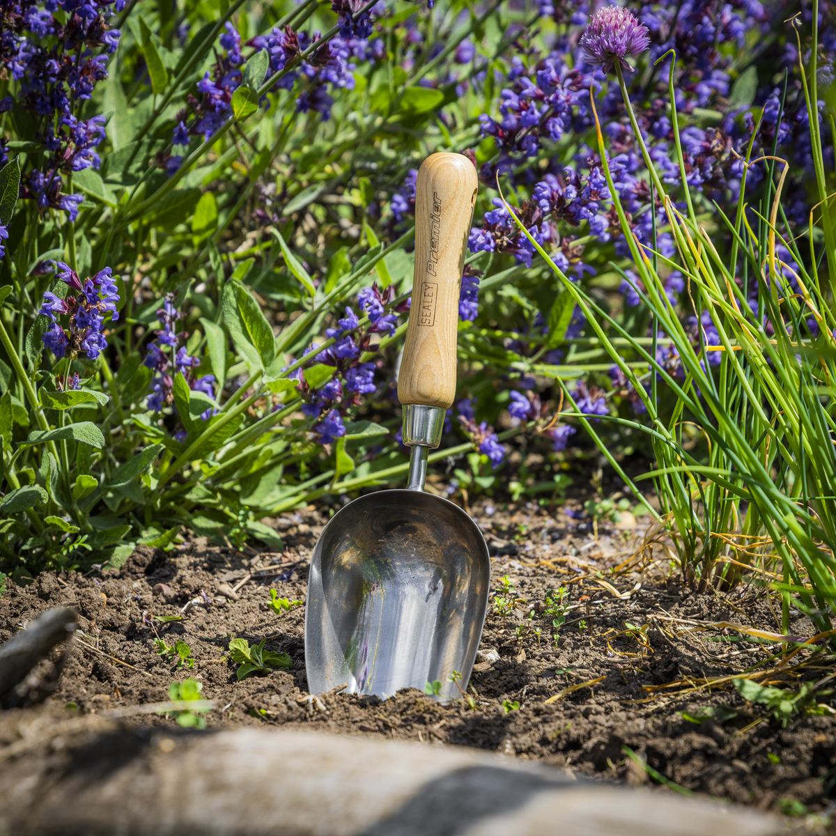 Premier GTWH006 Premier Garden Scoop with Ash Handle & Stainless Steel Head
