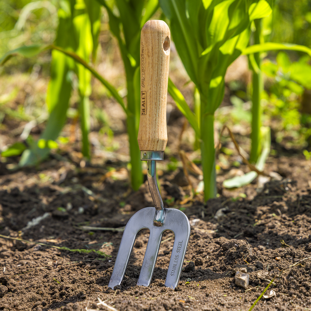 Premier GTWH007 Premier Garden Hand Fork with Ash Handle & Stainless Steel Tines
