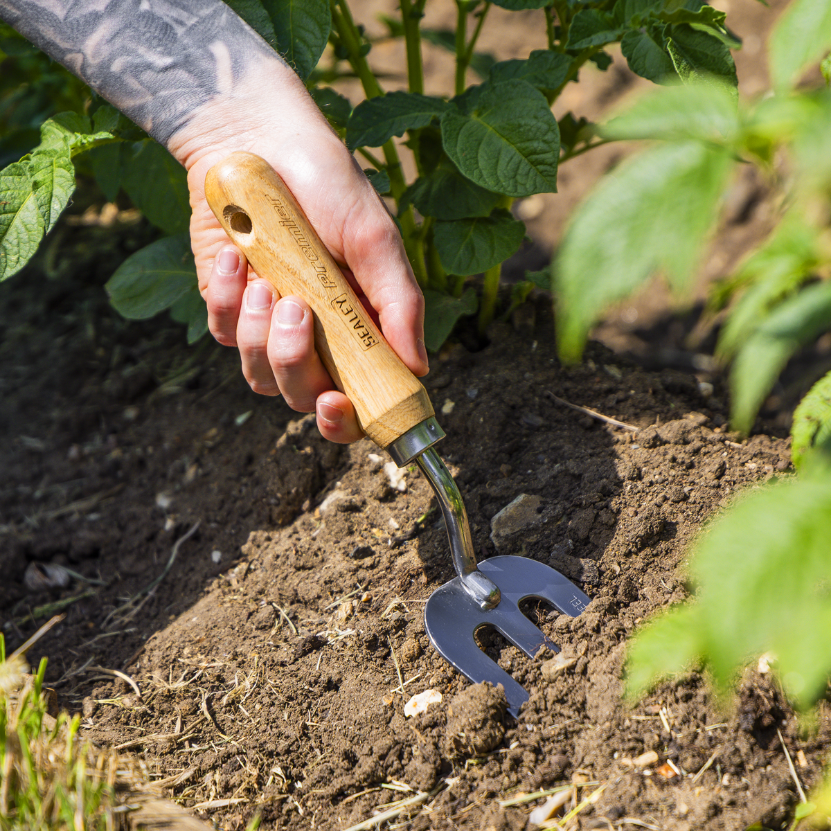 Premier GTWH007 Premier Garden Hand Fork with Ash Handle & Stainless Steel Tines