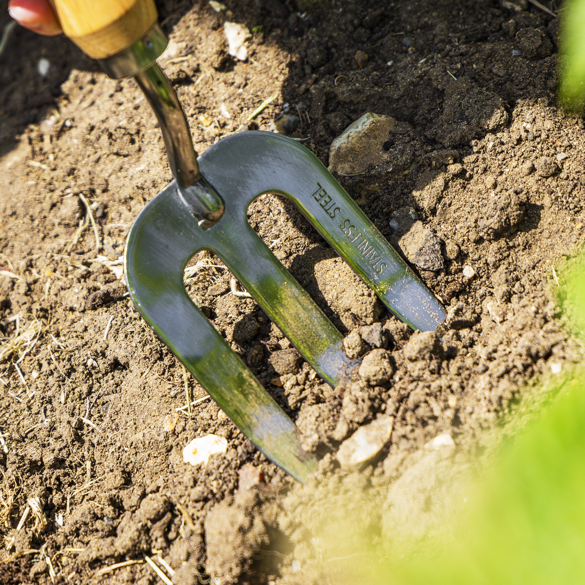 Premier GTWH007 Premier Garden Hand Fork with Ash Handle & Stainless Steel Tines