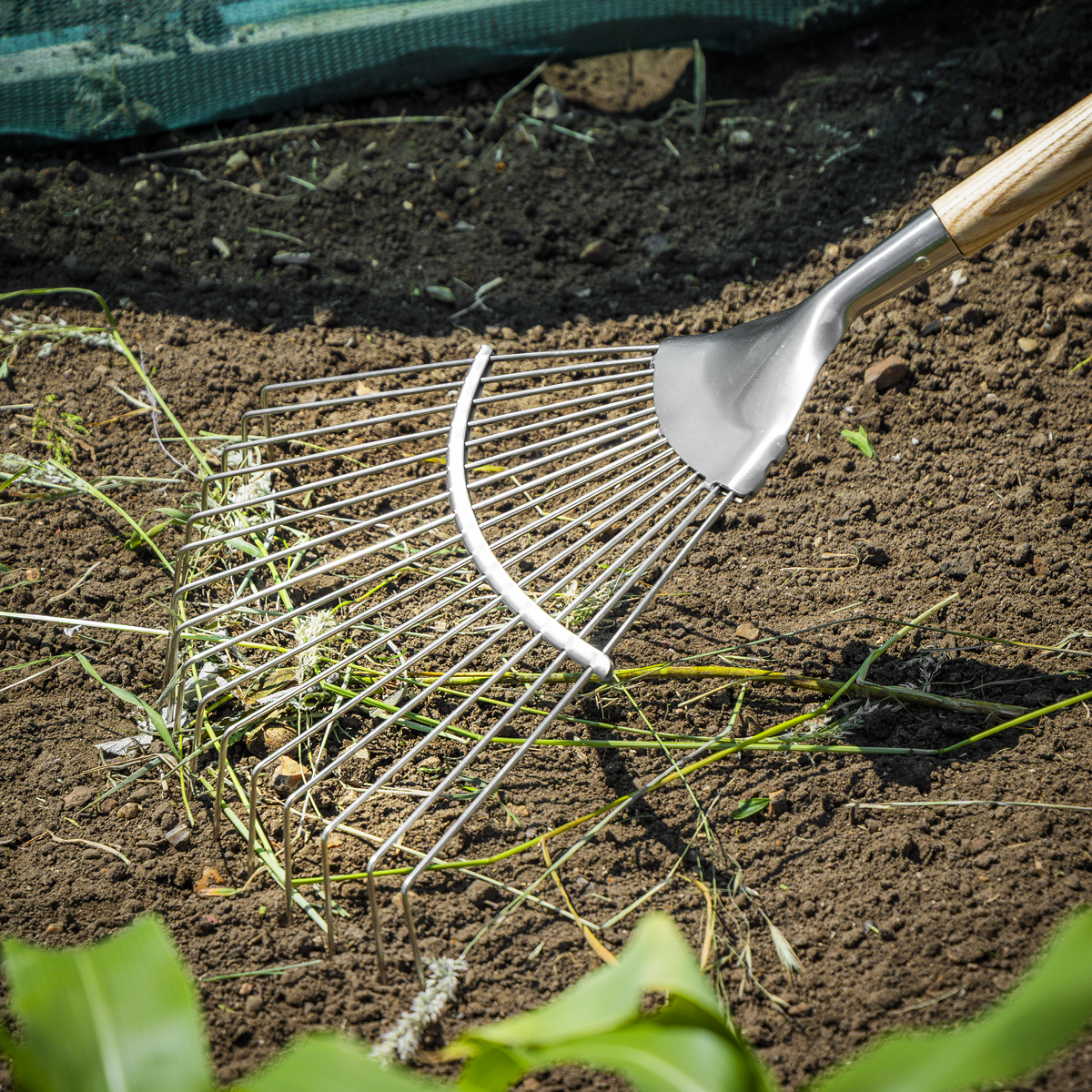 Premier GTWH010 Premier Lawn Rake with Long Ash Handle & Stainless Steel Tines