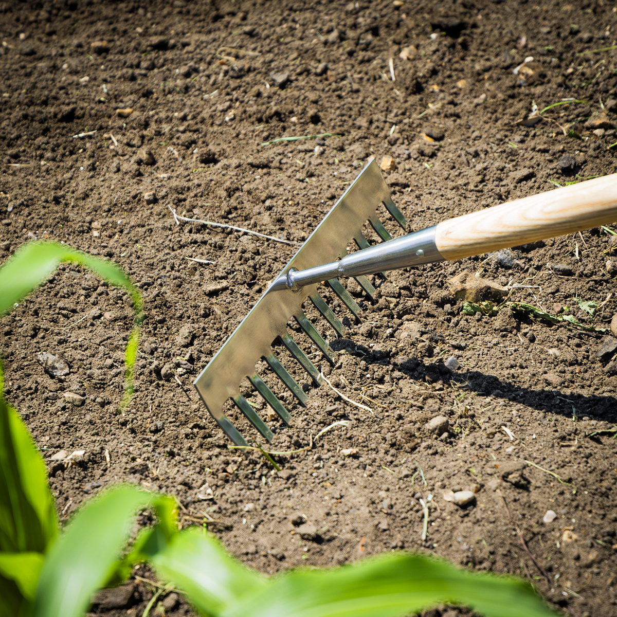 Premier GTWH011 Premier Garden Rake with Long Ash Handle & Stainless Steel Tines