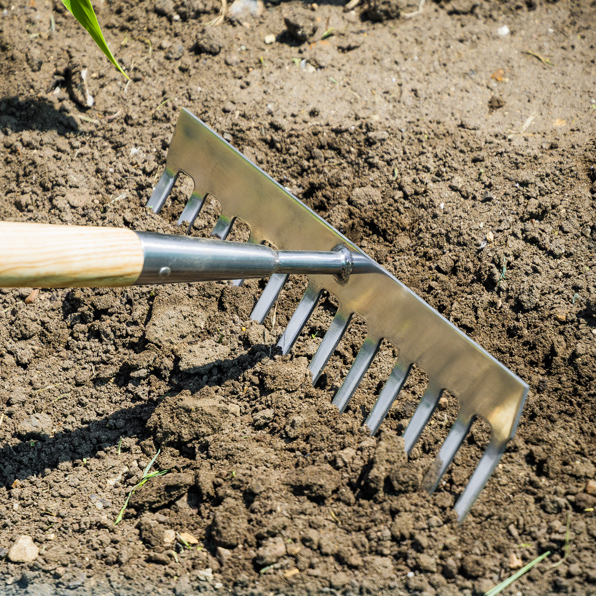Premier GTWH011 Premier Garden Rake with Long Ash Handle & Stainless Steel Tines
