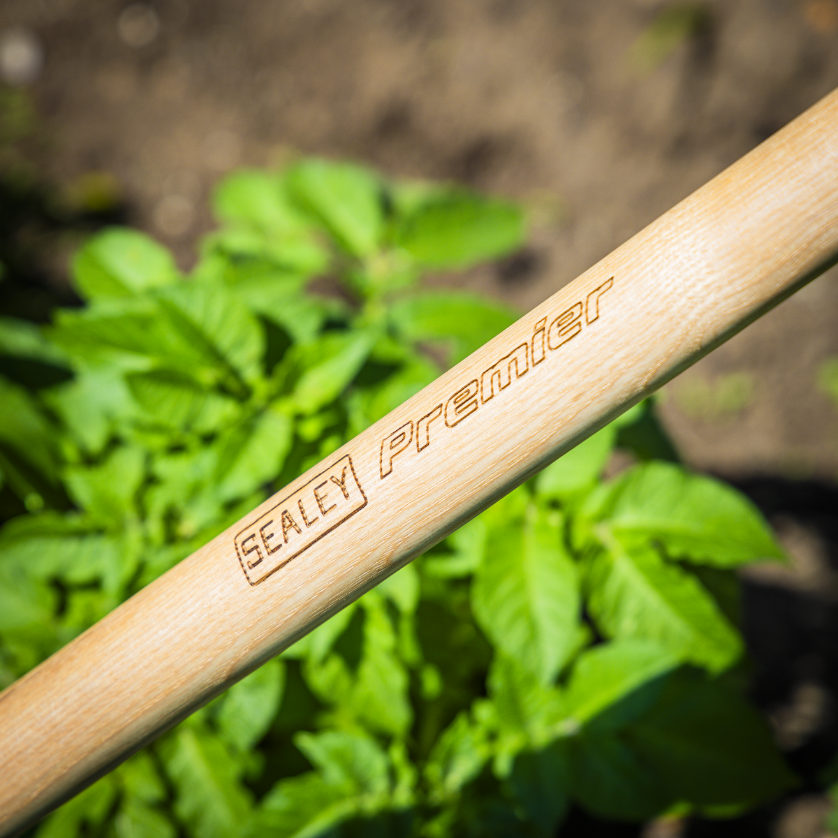 Premier GTWH011 Premier Garden Rake with Long Ash Handle & Stainless Steel Tines