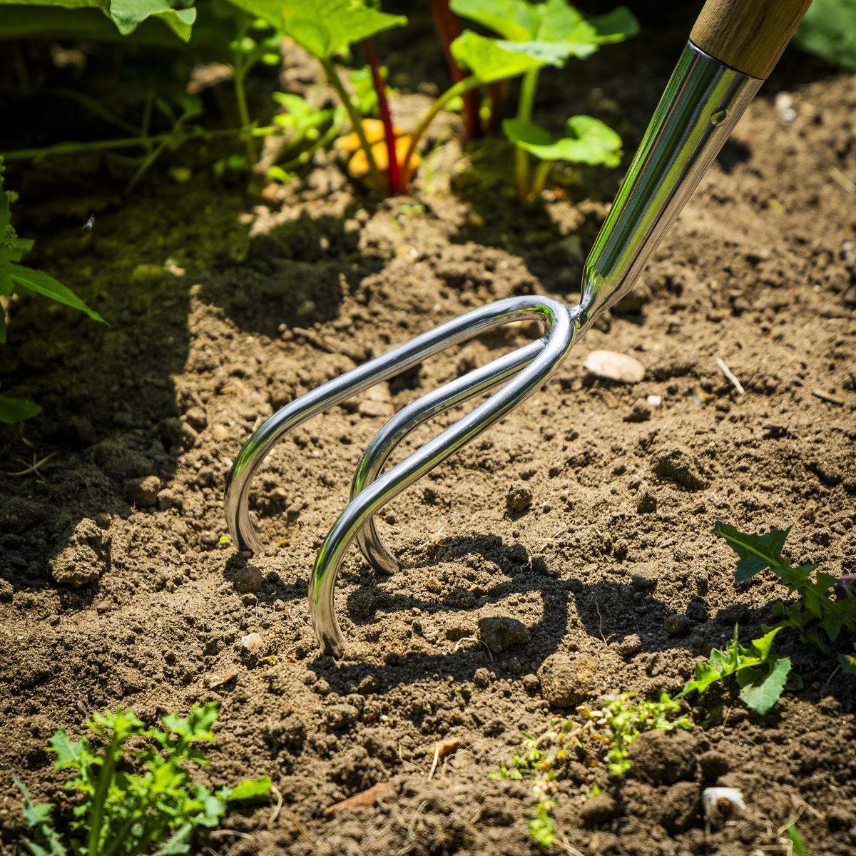 Premier GTWH012 Premier Garden Cultivator with Ash Handle & Stainless Steel Tines