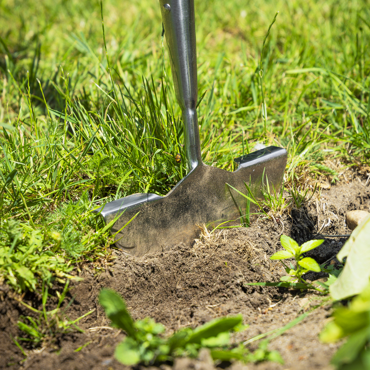 Premier GTWH014 Premier Lawn Edger with Long Ash Handle & Stainless Steel Blade