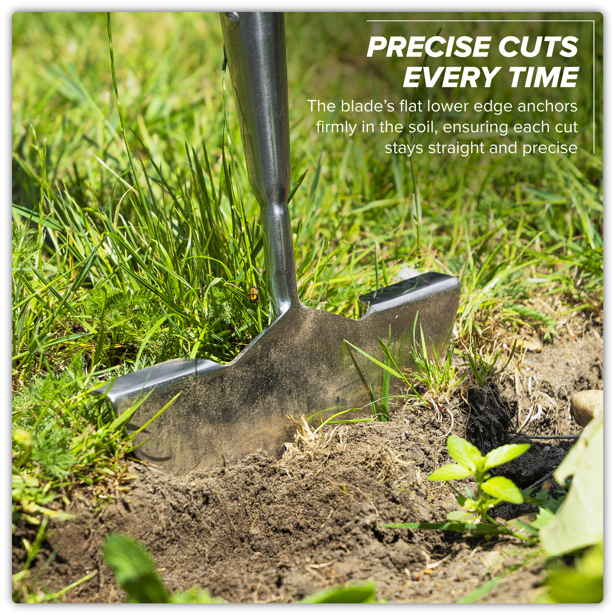 Premier GTWH014 Premier Lawn Edger with Long Ash Handle & Stainless Steel Blade
