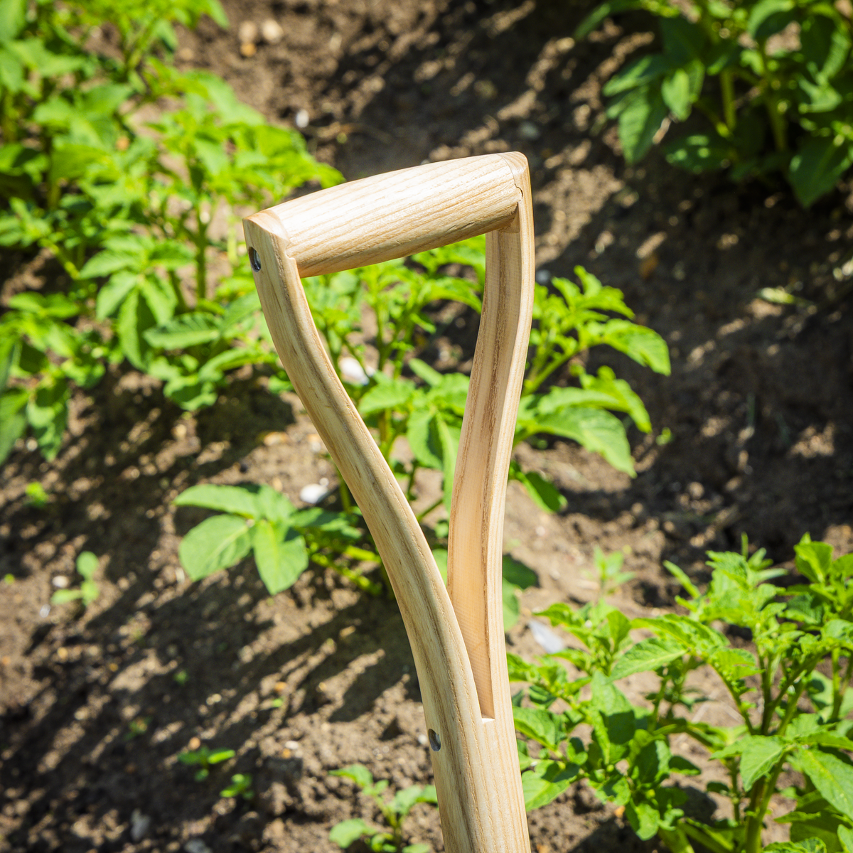 Premier GTWH016 Premier Digging Fork with Ash Handle & Stainless Steel Tines