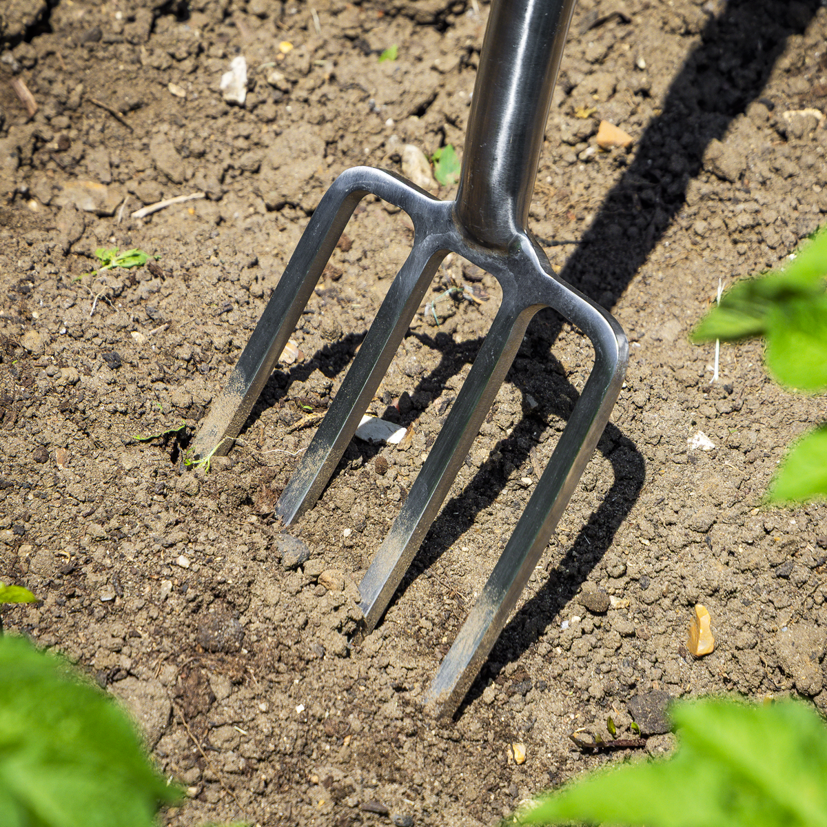 Premier GTWH016 Premier Digging Fork with Ash Handle & Stainless Steel Tines