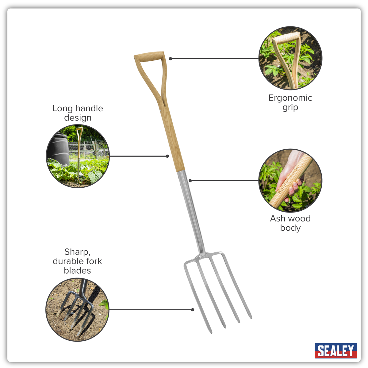 Premier GTWH016 Premier Digging Fork with Ash Handle & Stainless Steel Tines